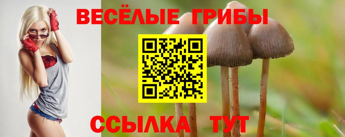Минеральные Воды  Псилоцибиновые грибы ЛСД  наркота  Вход с VPN 